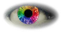 L'oeil de l'expert - ACS