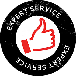 Expert Service